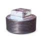 Tapón Macho Galvanizado 3/4" Set x 20 - GTM34