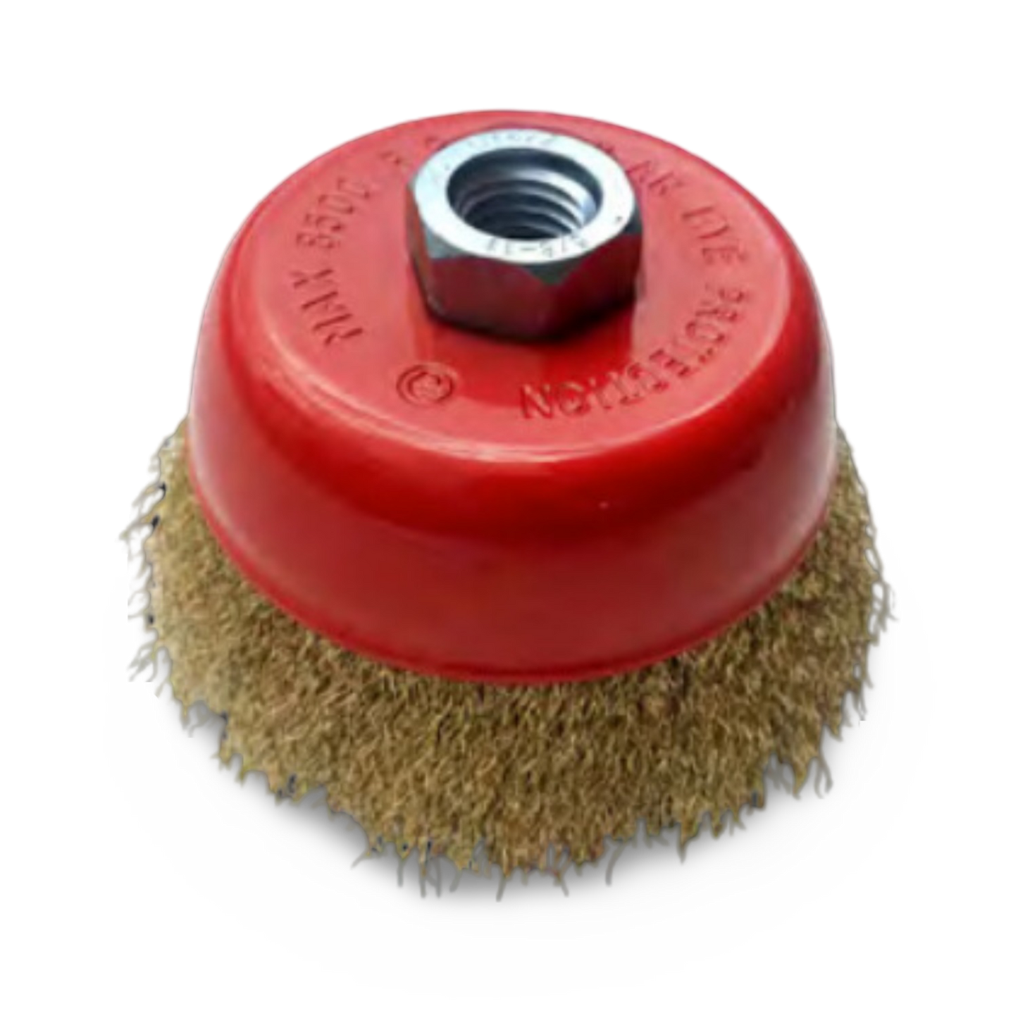 Grata Copa Lisa Bronce M-Rosca 3" Kangaroo - KANCLM3